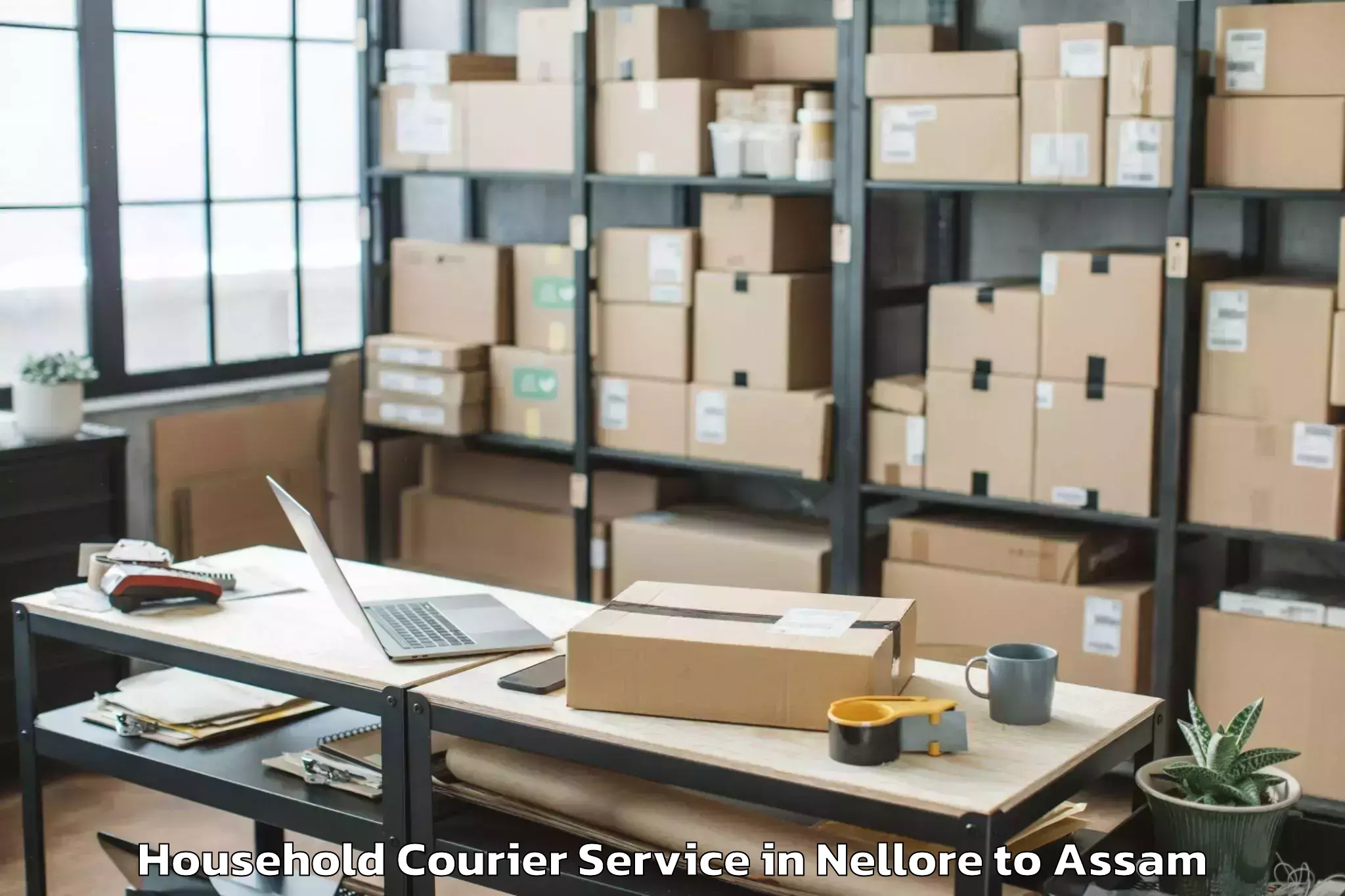 Quality Nellore to Dispur Household Courier